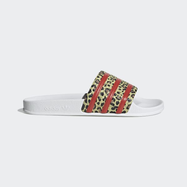 adidas slides leopard print Hans Infomatic Pvt. Ltd. e Freight Software Logistics ERP EDI with Customs Warehouse Management